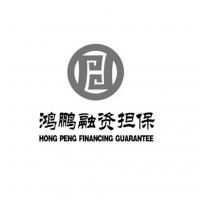 河池市鴻鵬融資性擔(dān)保有限責(zé)任公司 助力企業(yè)與經(jīng)濟發(fā)展的融資橋梁