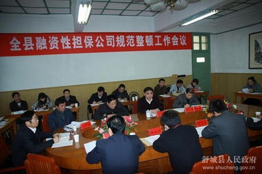 全縣融資性擔(dān)保公司規(guī)范整頓工作會議順利召開